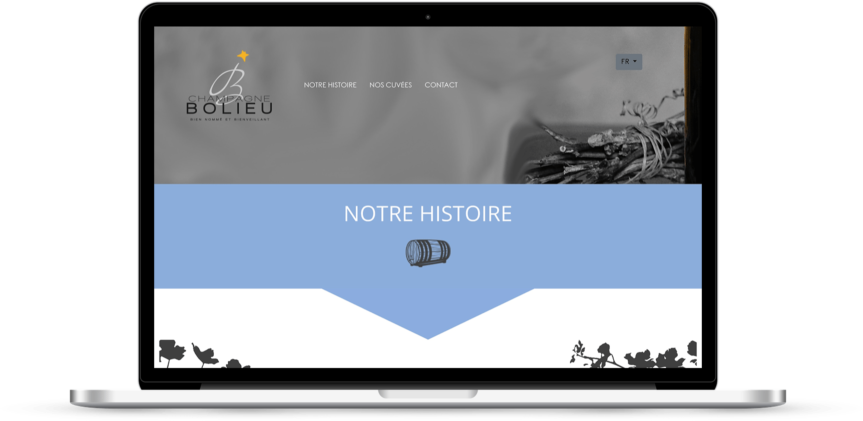mockup bolieu